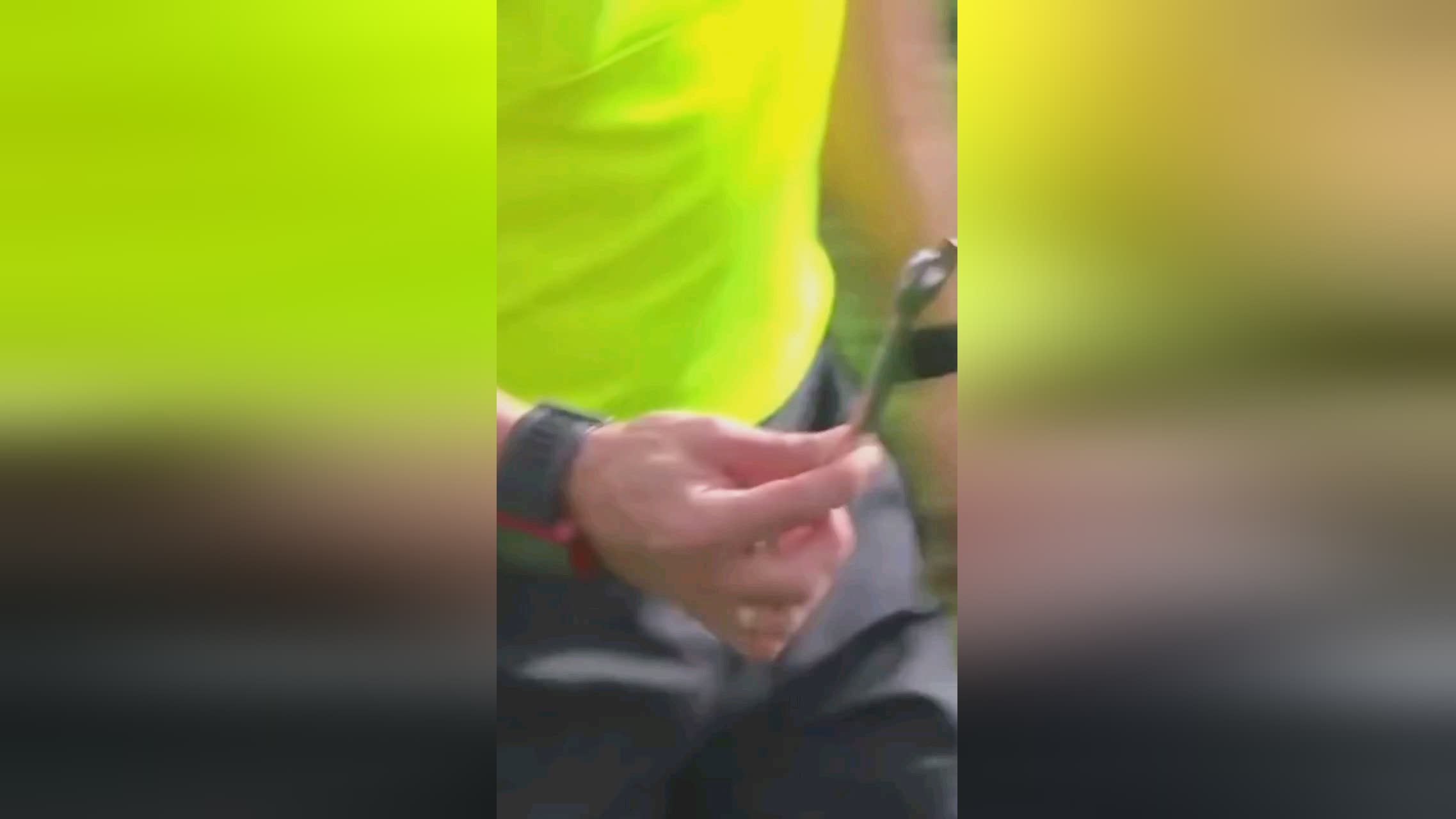 中孟繁